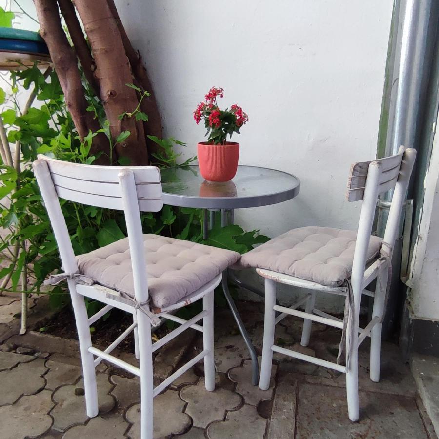 Centar Novi Sad-Apartman No 3 Bagian luar foto