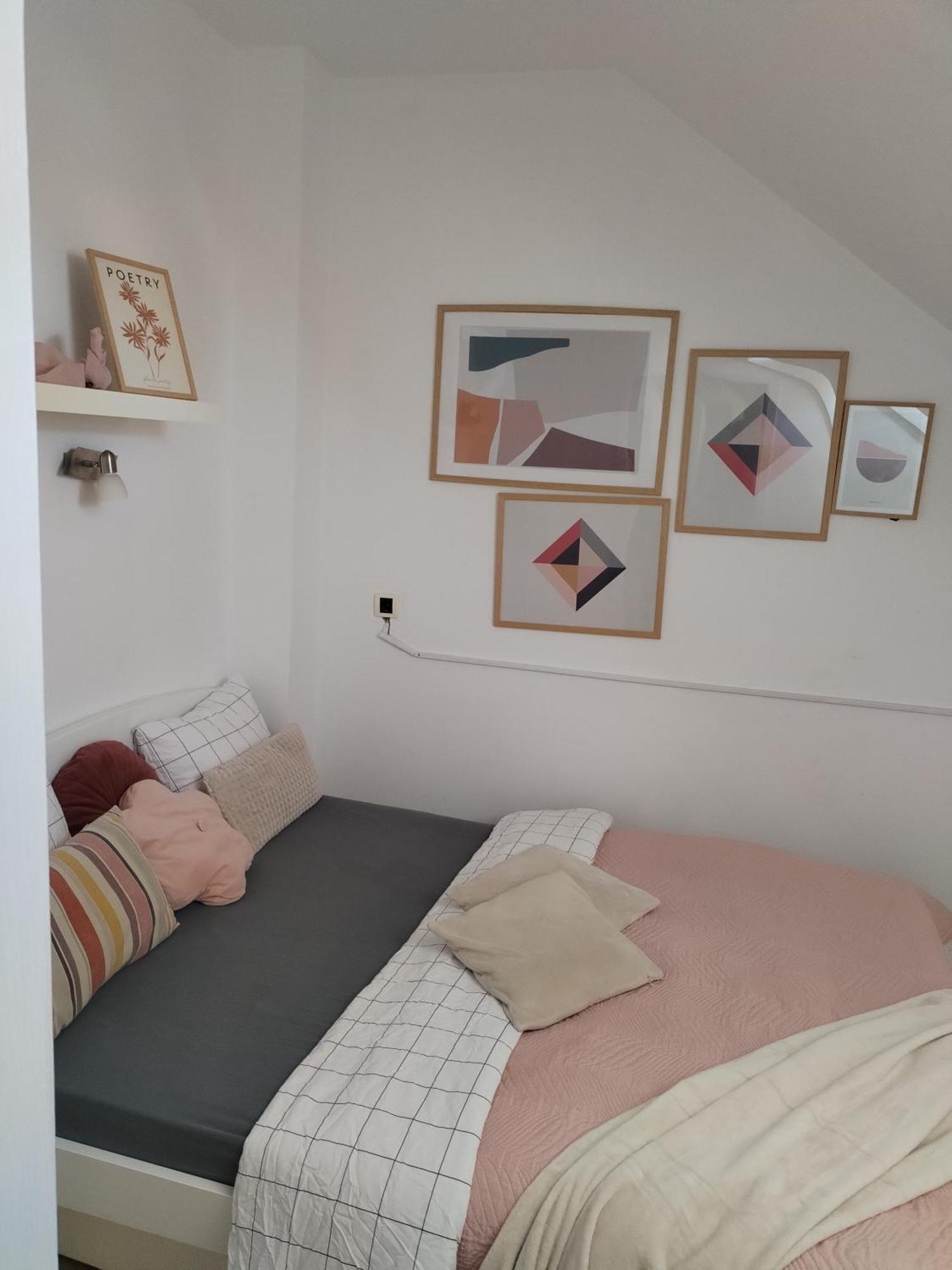 Centar Novi Sad-Apartman No 3 Bagian luar foto